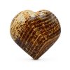 aragonite-heart